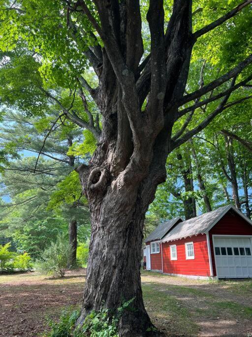 Schoolhouse No. 11 * Hudson Valley Upstate Getaway Stone Ridge Ngoại thất bức ảnh